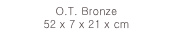 O.T. Bronze 
52 x 7 x 21 x cm